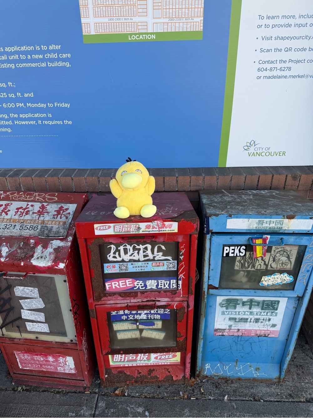 Nintendo Pokémon Psyduck Plush Yellow Stuffed Animal